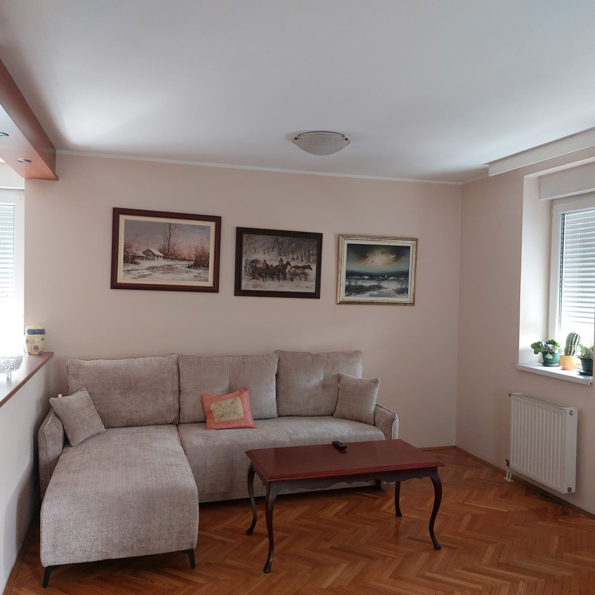 lokal - NOVI SAD - NOVA DETELINARA - 9100081