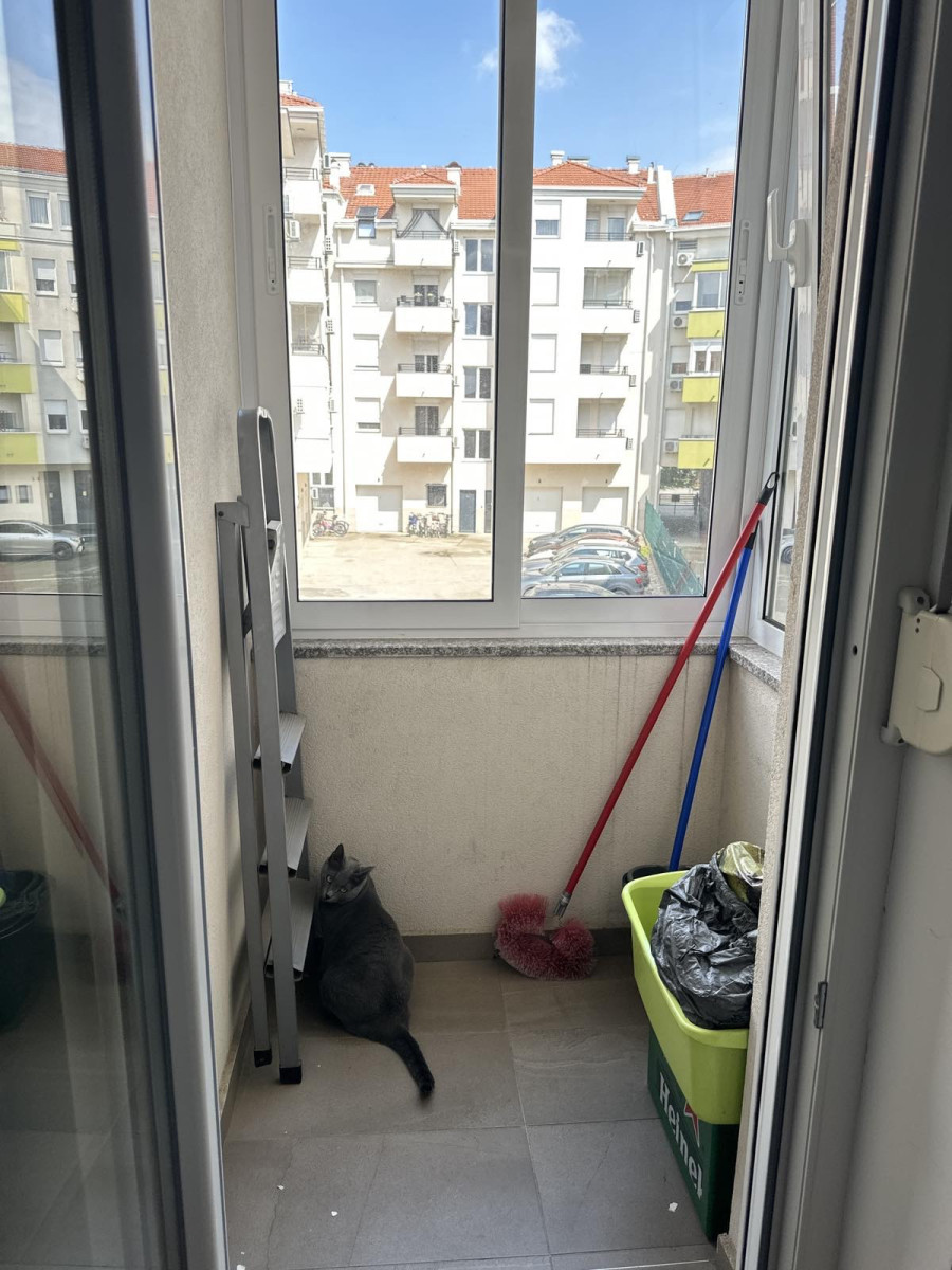 stan NOVI SAD - NOVA DETELINARA - 1040891